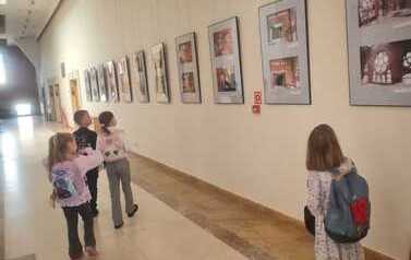 Foto 8