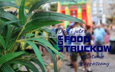 Festiwal FoodTruck&oacute;w 1