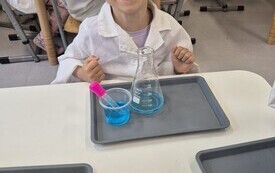 12. SP1