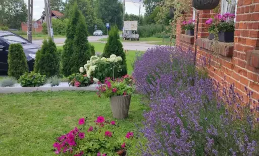 Zdjęcie artykułu z dnia 03-06-2025