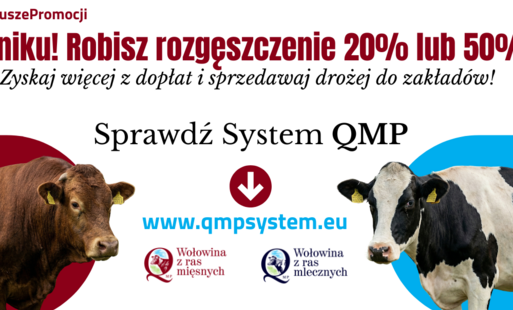 Zdjęcie artykułu z dnia 09-04-2026