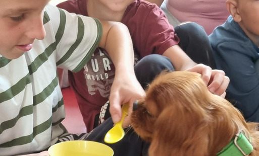 dogoterapia